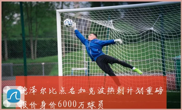 德泽尔比点名加克波热刺计划重磅报价身价6000万球员