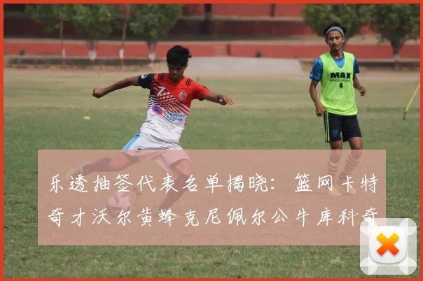 乐透抽签代表名单揭晓：篮网卡特奇才沃尔黄蜂克尼佩尔公牛库科奇齐聚一堂