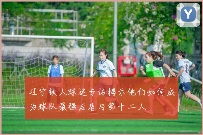 辽宁铁人球迷专访揭示他们如何成为球队最强后盾与第十二人