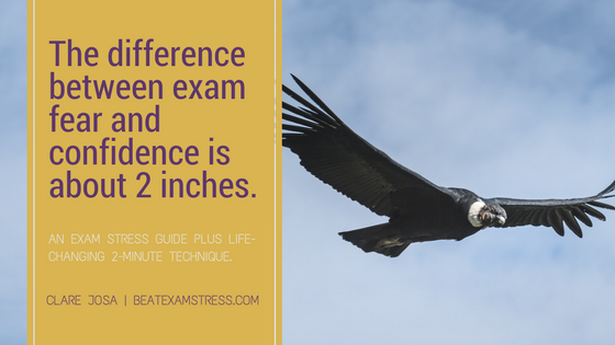 What's the difference between exam fear and confidence?